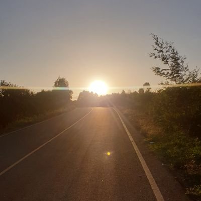 ThreaDealer's profile picture. Anonymous voice.
Verified by truth