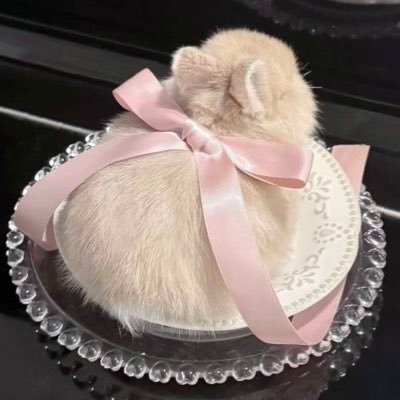 ^ ܸ. ̫ .ܸ ^さんのプロフィール画像