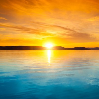 transparent_13's profile picture. 