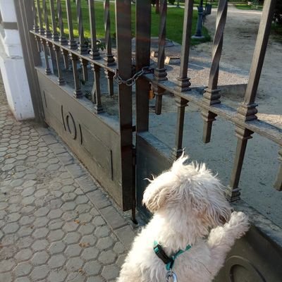 MartaGuadalupe's profile picture. 