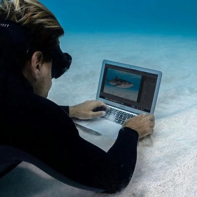 CaoKailun20393's profile picture. 