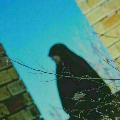 tahura__128's profile picture. ماراهنری‌نیست‌ ، به‌جُزنوکریِ‌تو عَزیزِ عَراقیِ مَن🫀