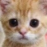 Cant2Ten's profile picture. 