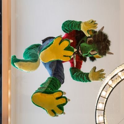 Max Draggy ๐ฎ๐น 20th anniversary Profile