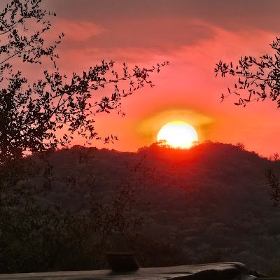 Jamulian1's profile picture. 