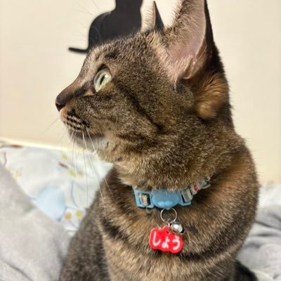 もさんのプロフィール画像