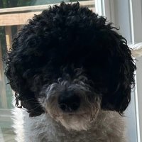 ZND ruffy (@ruffy2x) 's Twitter Profile