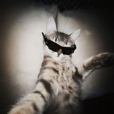 Moonyeah1998's profile picture. Mooncake since 2017