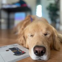 Julia (@juliaily12) 's Twitter Profile