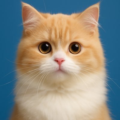 diamputw's profile picture. friendly. but i'm not ur friend tho ✌🏻