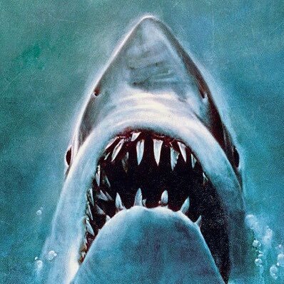 Ryannufc1988's profile picture. NUFC and FPL enthusiast