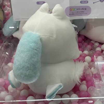 PASHIさんのプロフィール画像