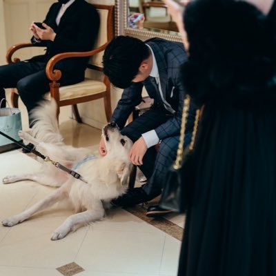 いっせいさんのプロフィール画像