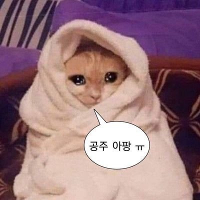 정윤さんのプロフィール画像