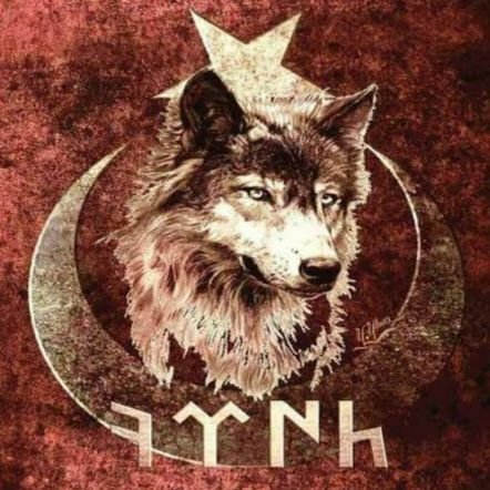 mpskncn's profile picture. 