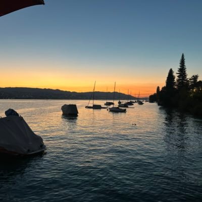 TheHauDegen's profile picture. BonaFide HelveTier - Lachen scherzen, lachen scherzen, heute ist ja heut' - pretty fly for a White guy