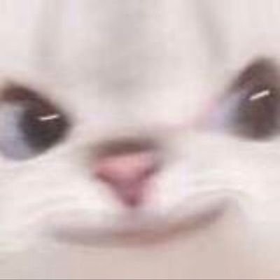 fer_985r's profile picture. 