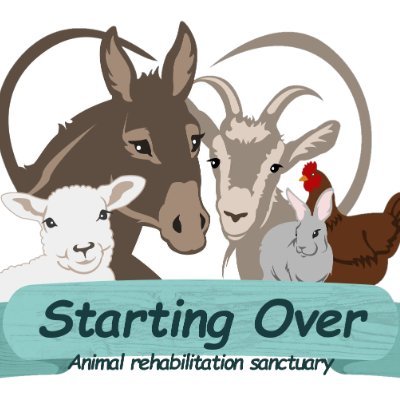 StartingOverEng's profile picture. The largest animal sanctuary in Israel. 
Home to almost 2,000 animals, of which 1,100 are donkeys.