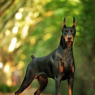 meenatnw's profile picture. 
