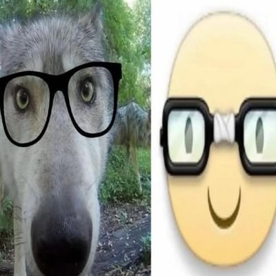 vixtorug_o's profile picture. 