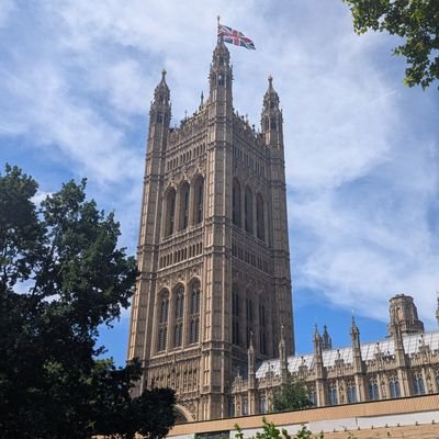 Codyhigton09's profile picture. Political || Left Economically, Progressive Socially ||  Advocate for Freedom, Justice and a Egalitarian Society || Freedom, Not Division