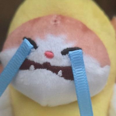 저한테 이상한 선정적인 dm보내시면 다 신고하고 차단해요~
If you send me a strange sensational DM, I will report it all and block it.
