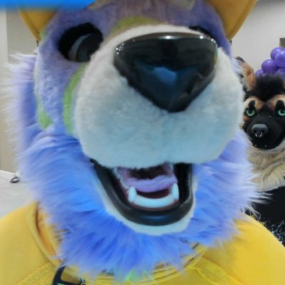 31 | KY | he/they/pillow | Fursuiter. Driver. Rider. Veteran. Public Safety | Sometimes🔞sometimes wholesome always there for puppy after a tough day