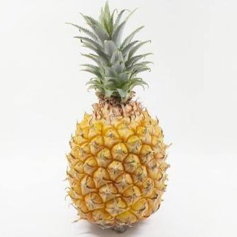 94ssk's profile picture. パイン🍍なっぷるう。SOC？脆弱性診断？のかけだしの人。