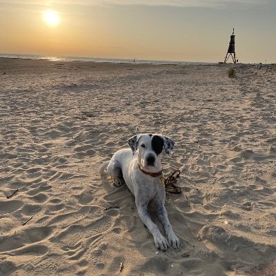 JVolz4's profile picture. ❤️Terra Lunc and Dog❤️ lover    XRP 💎JASMY💎VELO💎QUBIC💎BONK