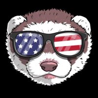 FlakFerret (@flakferret) 's Twitter Profile Photo FlakFerret (@flakferret) 's Twitter Profile Photo
