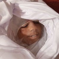 Reham from Gaza (@reehamalzant) 's Twitter Profile