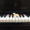 Andy Monroe - @andy_monro63255 - Twitter