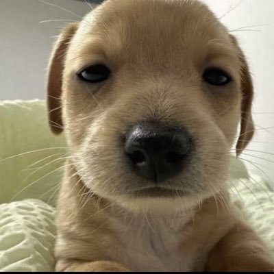 @thisis6455