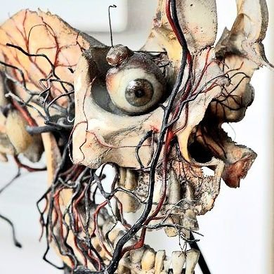 6RU1SED's profile picture. 