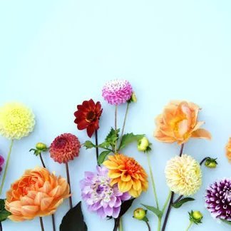 BobbyGooner51's profile picture. 