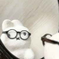 😸🧡 (@rncham__s2) 's Twitter Profile