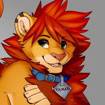 Tamari 🦁さんのプロフィール画像