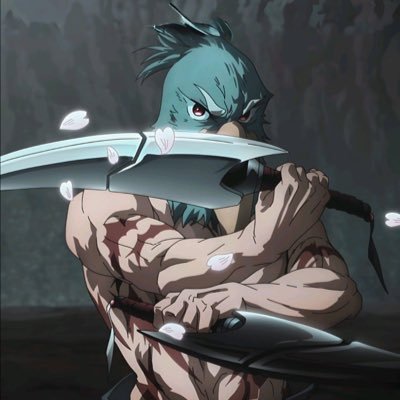 iiKarasu Profile