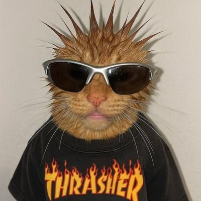 _bakanito's profile picture. soy @mr_haakon pero sin esa cuenta 😔
cuenta secundaria: @sad_haakon