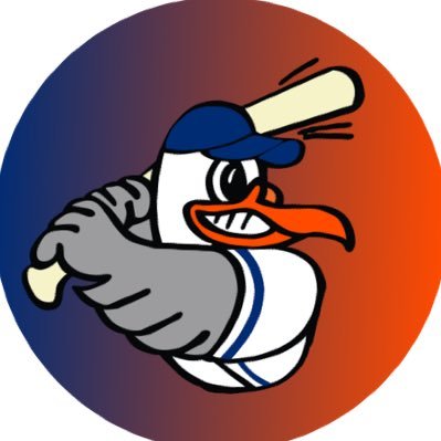 Official Twitter of the 8-Time NECBL Champion Newport Gulls.
