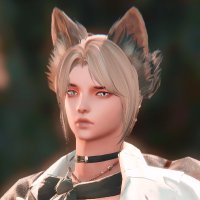 A Golden Dog (@krit_xiv) 's Twitter Profile