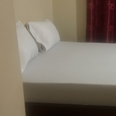 Lambs39906289's profile picture. 