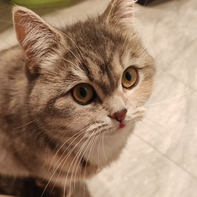 sun1368384's profile picture. 