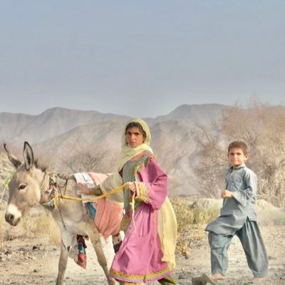 ANabiBaloch1's profile picture. 