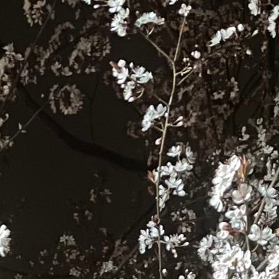 amaye_17's profile picture. 🖇️