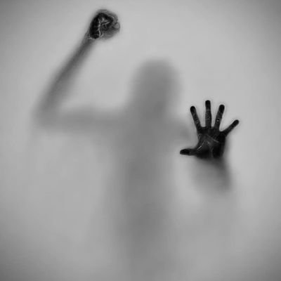 slimsp8's profile picture. Cookie