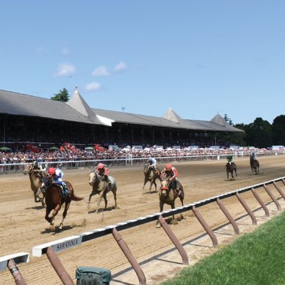 Published horse handicapper. Been learning the horse game almost 50 years. Took me 20 years to become a winning player!! Follow anyone that knows!