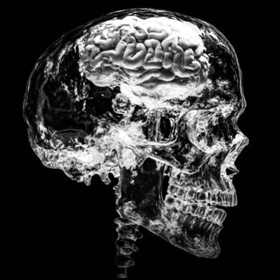 _Pits's profile picture. DNA%