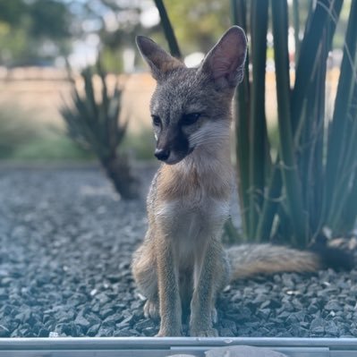 rguzman3's profile picture. 