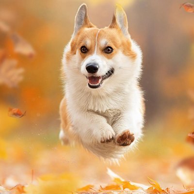 jameshjs2022's profile picture. 